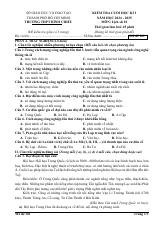 Đề thi Học kì 1 Lịch sử 10 năm 2024-2025 trường THPT Bình Chiểu (TP Hồ Chí Minh)